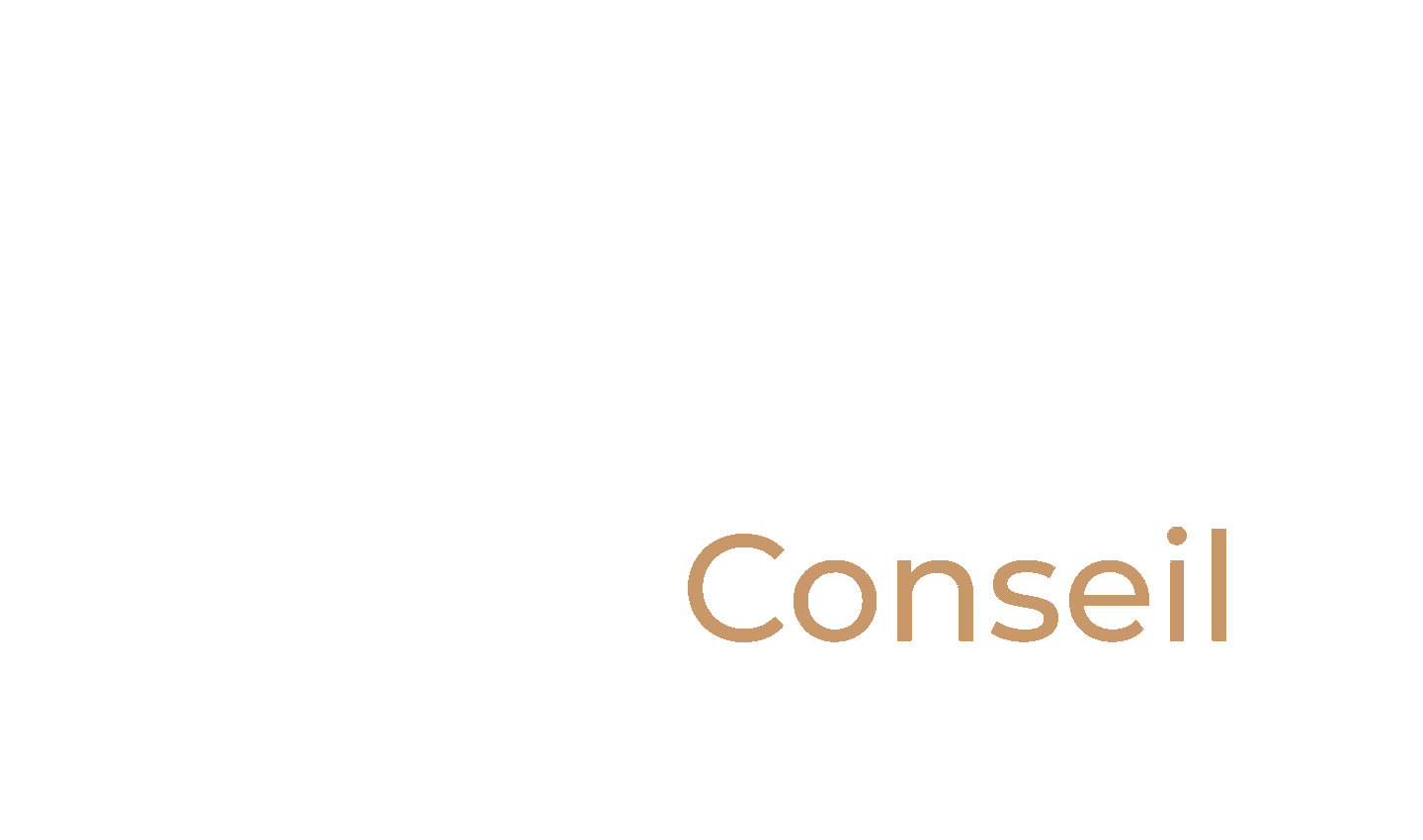 SABEN Conseil